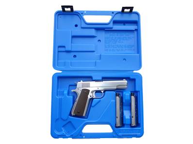 Element Gun Case 24x16x5cm