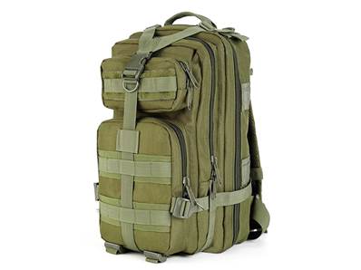 Delta Armory Backpack US Assault Pack 20L OD