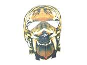 DMoniac "Tiger" Neoprene Full Face Mask