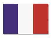 French Flag  90 x 150 cm